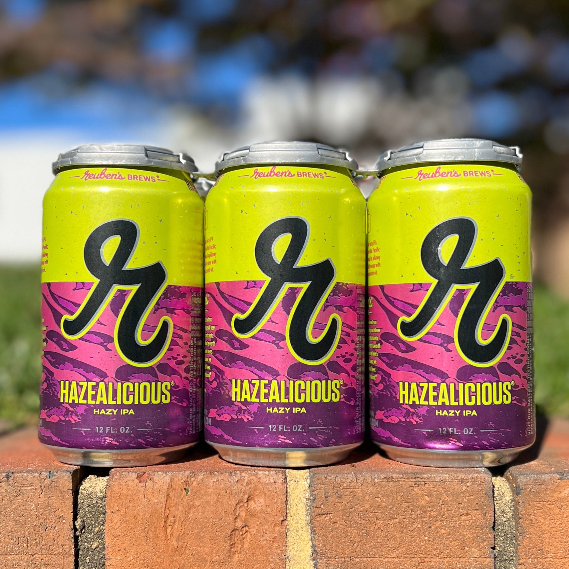 Reuben #39 s Brews Hazealicious 6 Pack Dominion Wine And Beer Food